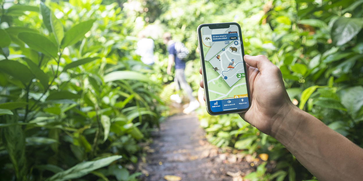 Augmented reality guides visitors through the jungle