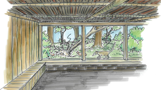 Build of new animal enclosures at Burgers' Zoo