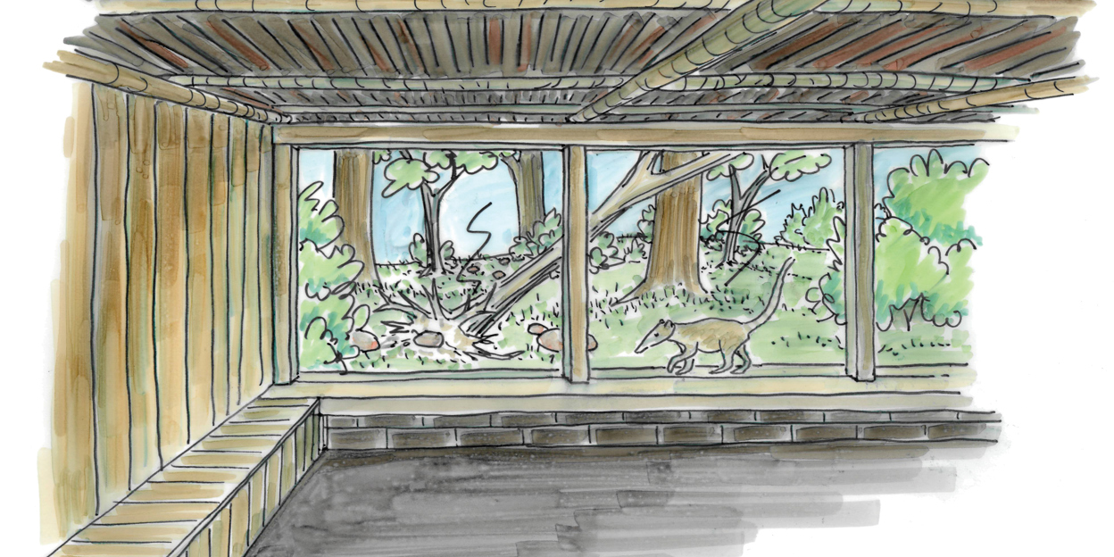 Build of new animal enclosures at Burgers' Zoo