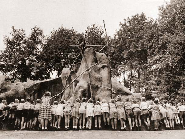 National and international collaboration