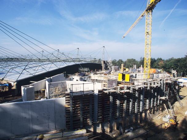 Europe's largest natural coral reef (2000)