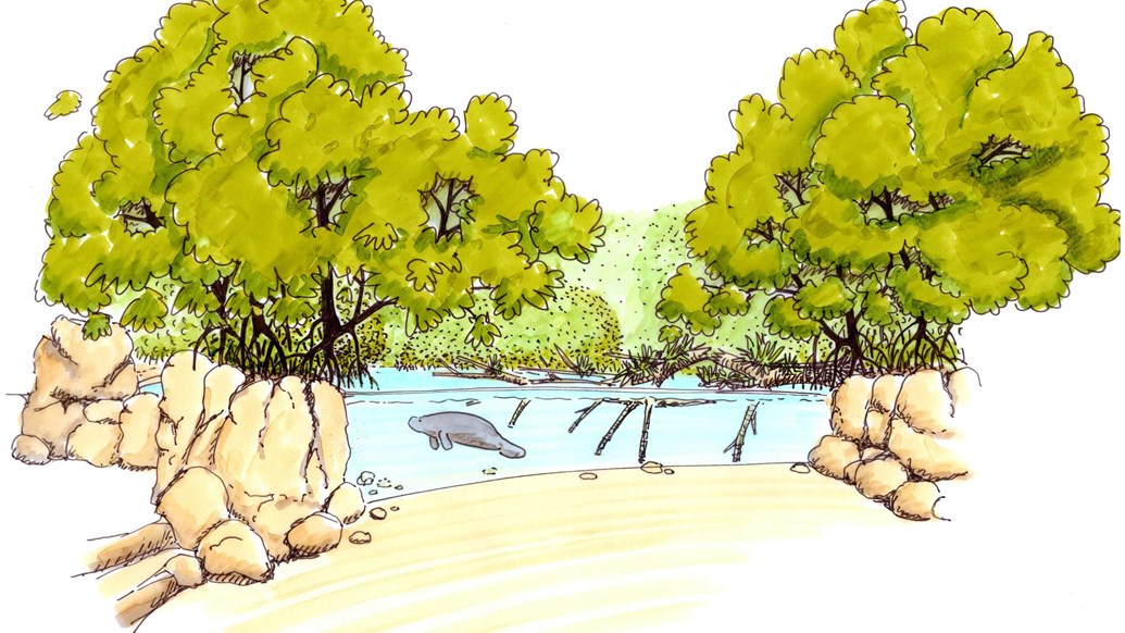 Een tekening die gemaakt werd voor de Mangrove