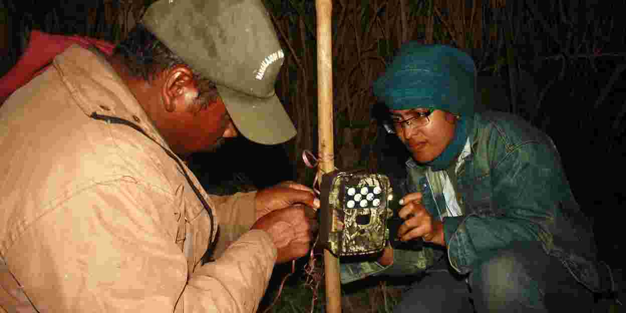 Costa Rican sloth, Brazilian armadillo and Indian fishing cat win nature conservation prize