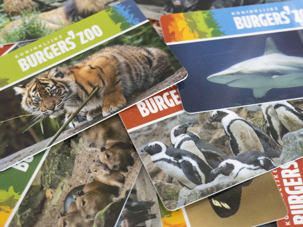 Annual subscriptions