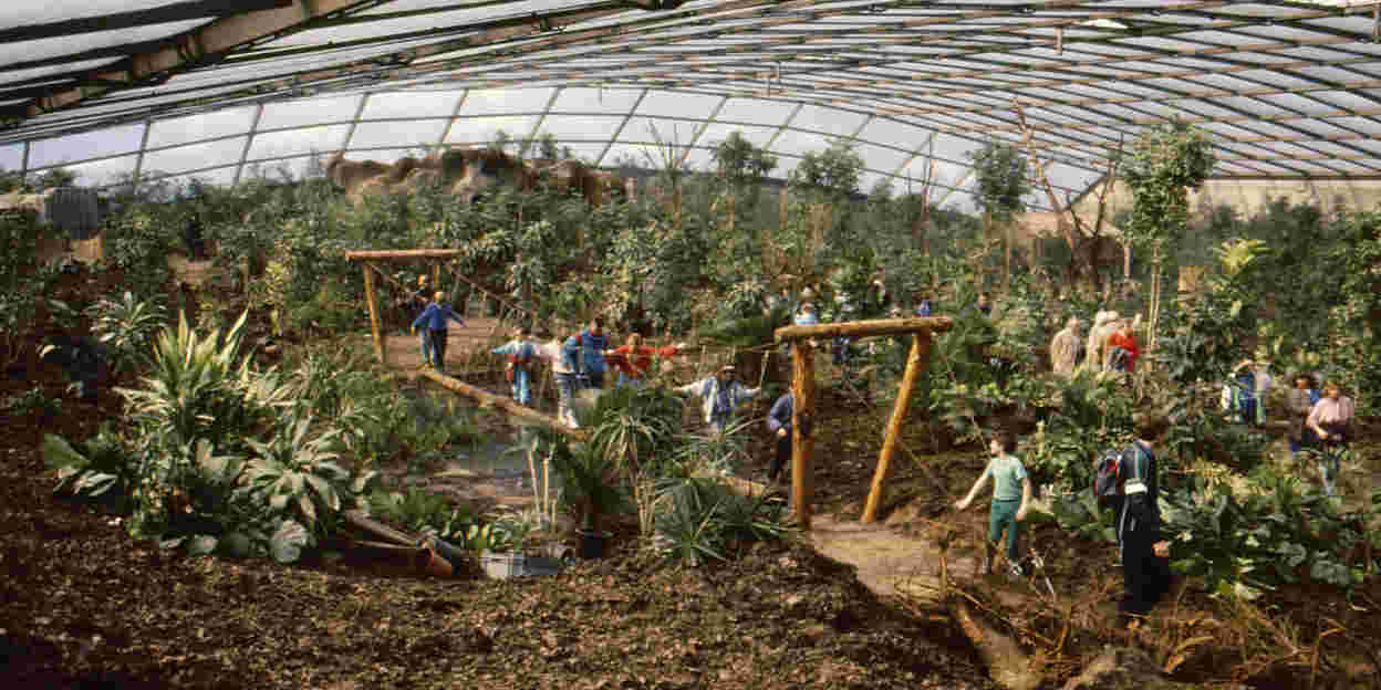 Revolutionary project in the world of zoos Burgers' Bush celebrates 30th anniversary