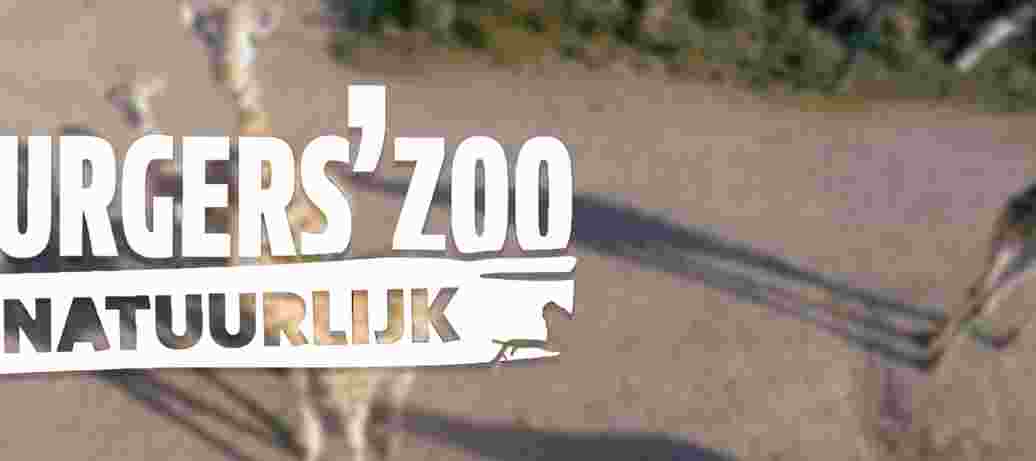Burgers' Zoo Natuurlijk 2018