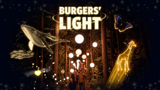 Adventurous firefly sparks spectacular light show at Burgers’ Zoo