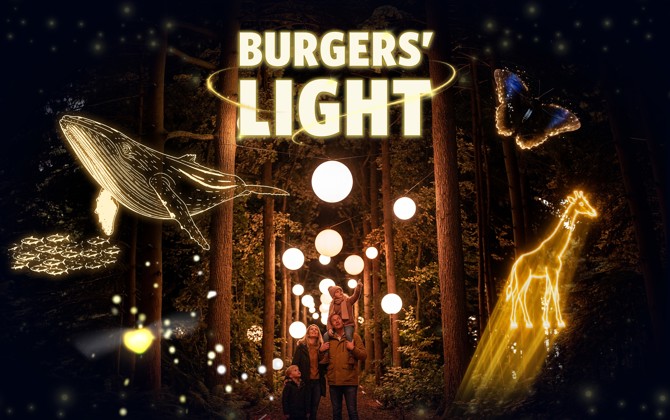 Adventurous firefly sparks spectacular light show at Burgers’ Zoo