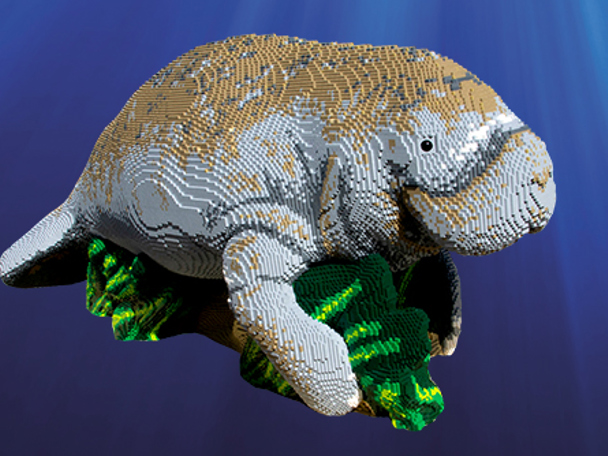 Online photo competition with three cool prizes