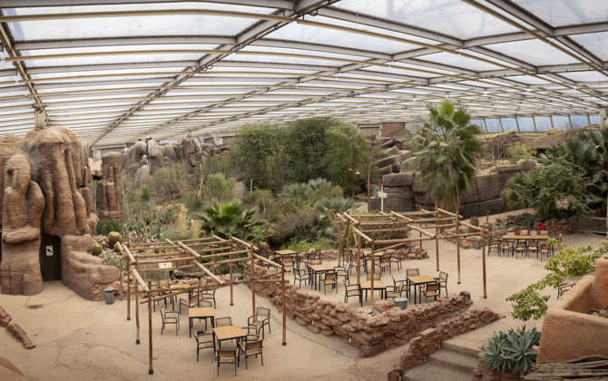 Burgers' Zoo starts extensive renovation of Desert