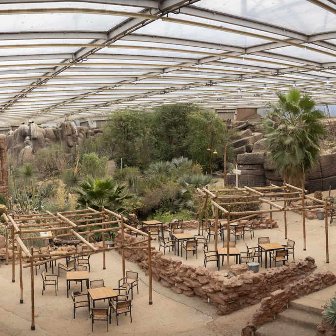 Burgers' Zoo starts extensive renovation of Desert