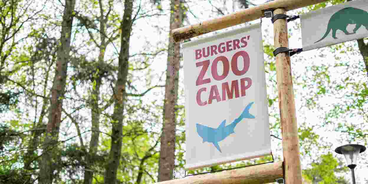 Burgers' Zoo Camp: u kunt nu reserveren!