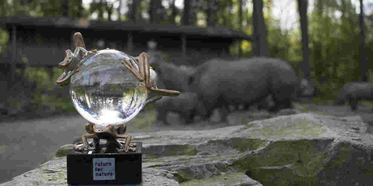 The Future For Nature Awards—Journey Through the World of Wildlife Conservation