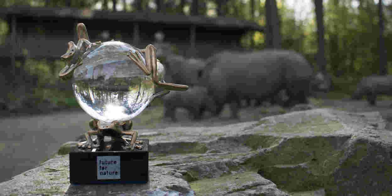 Three young conservationists win coveted award