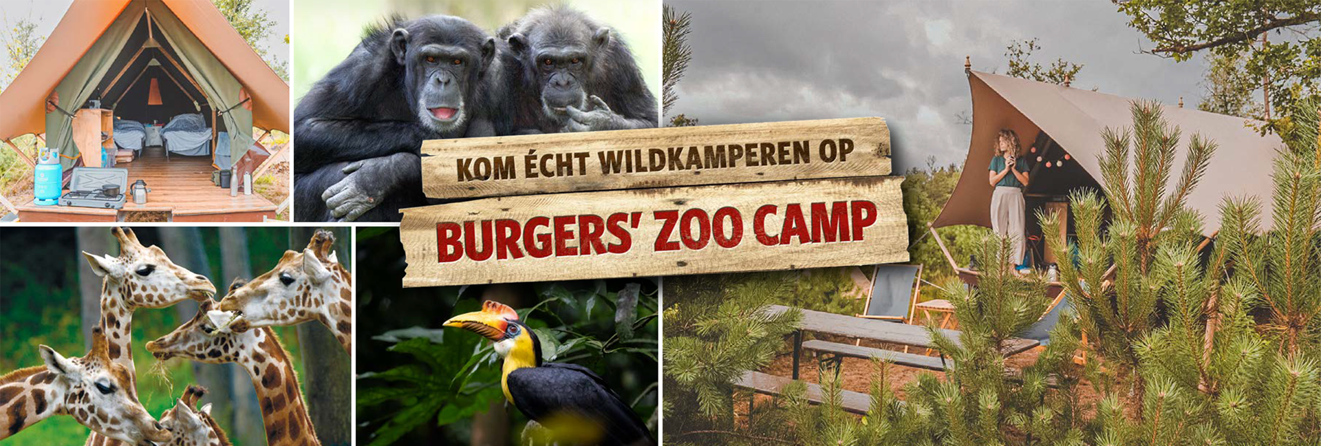 Burgers' Zoo Camp