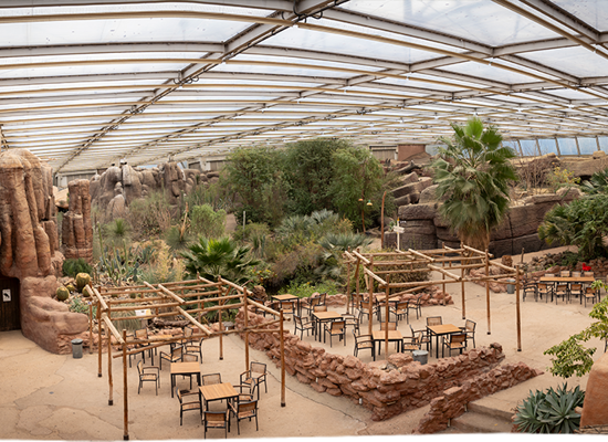 Renovation of Desert